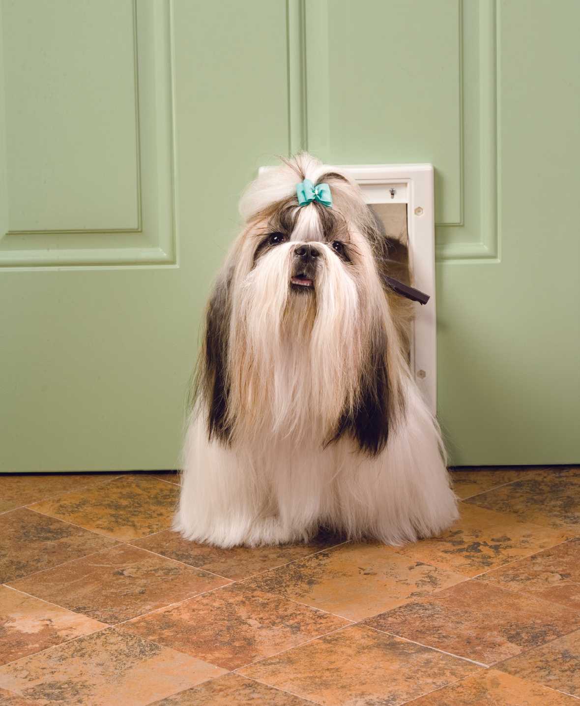 Petsafe Plastic Pet Door