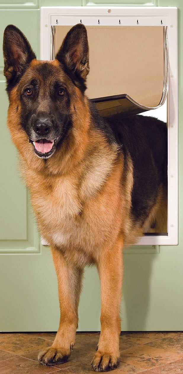 Petsafe Plastic Pet Door