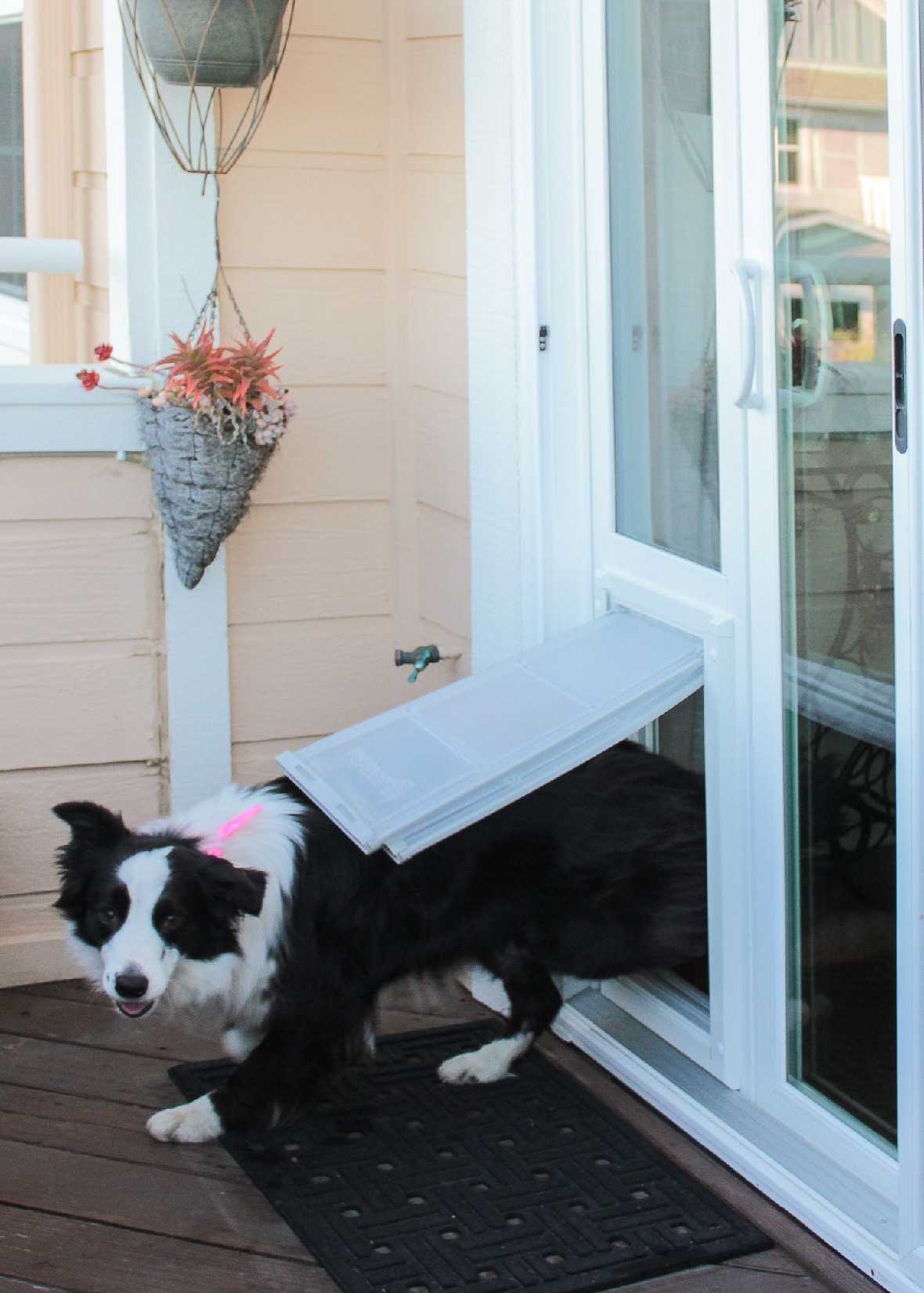 Endura Flap Severe Weather Vinyl Sliding Glass Dog Door