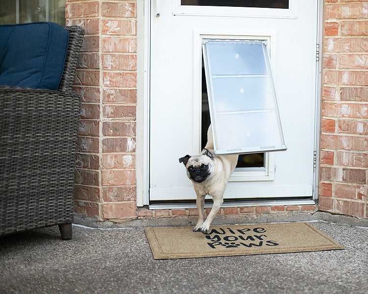 Endura Flap E1 Pet Door for Doors (Ships from Canada)