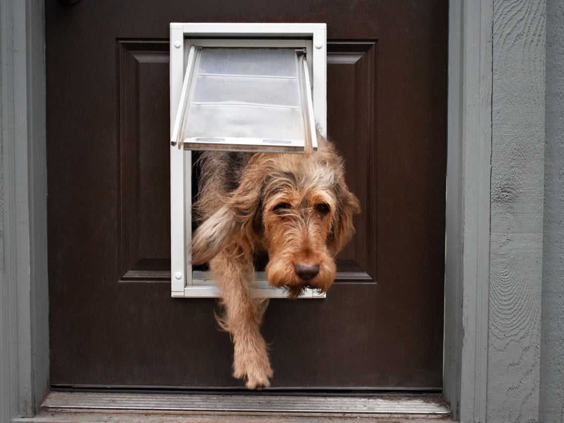 Endura Flap E1 Pet Door for Doors (Ships from Canada)