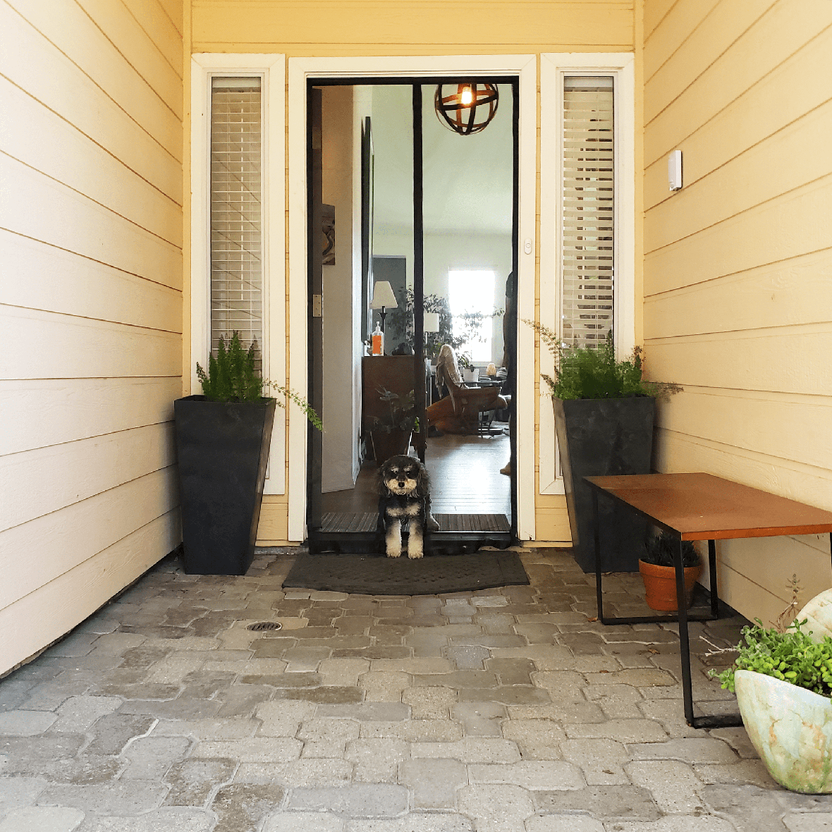 Magnetic Bug Screen for Doorway