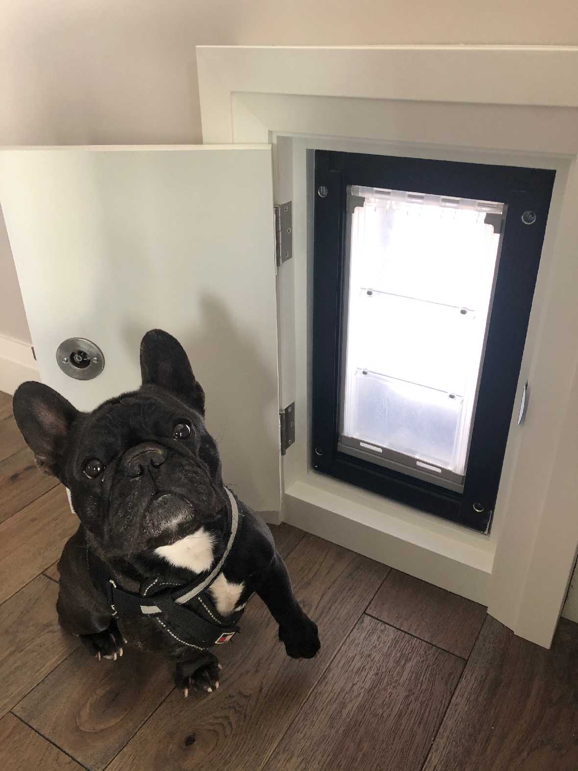 Endura Flap Dog Doors for Walls (Ships from Canada)