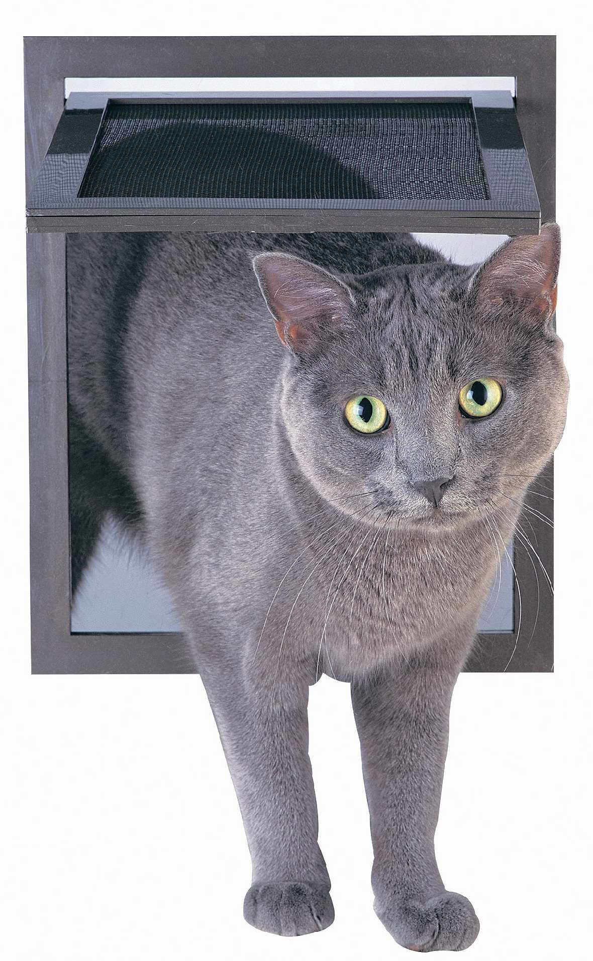 Petsafe Pet Screen Door