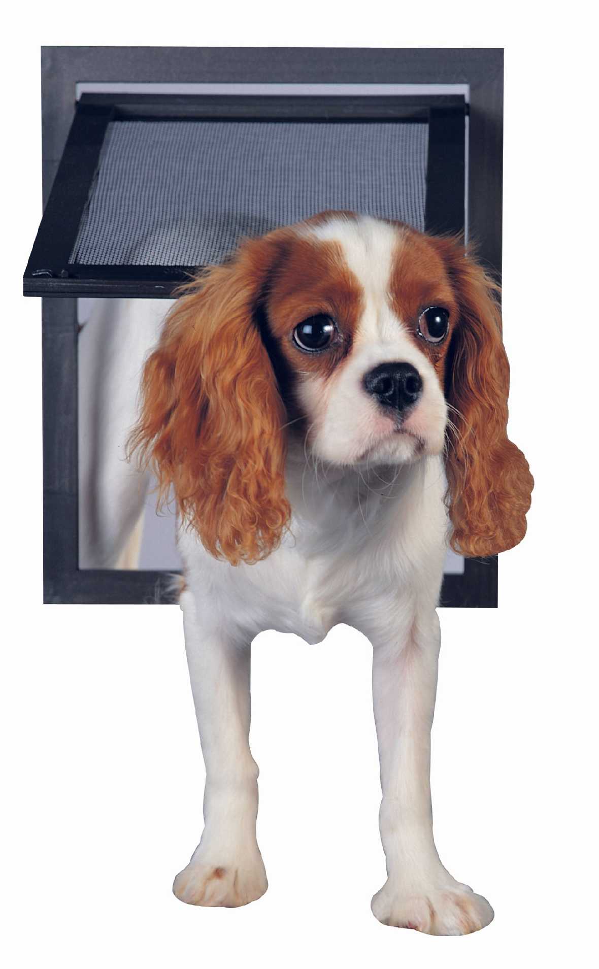 Petsafe Pet Screen Door