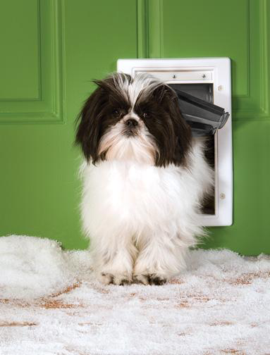 Petsafe "Extreme Weather" Pet Door