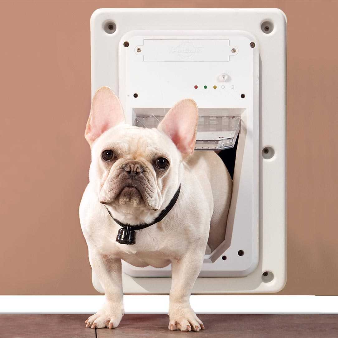 Petsafe Smart Door for Walls