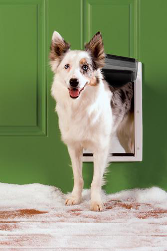 Petsafe "Extreme Weather" Pet Door