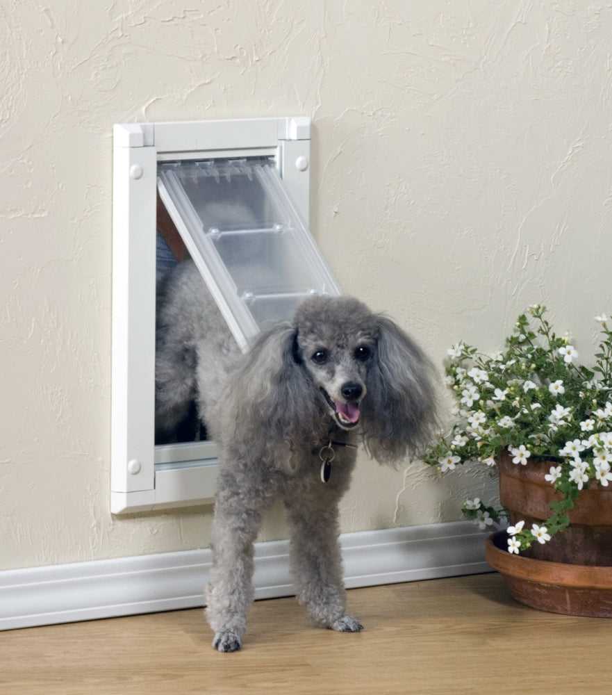 Endura Flap Dog Doors for Walls (Ships from Canada)