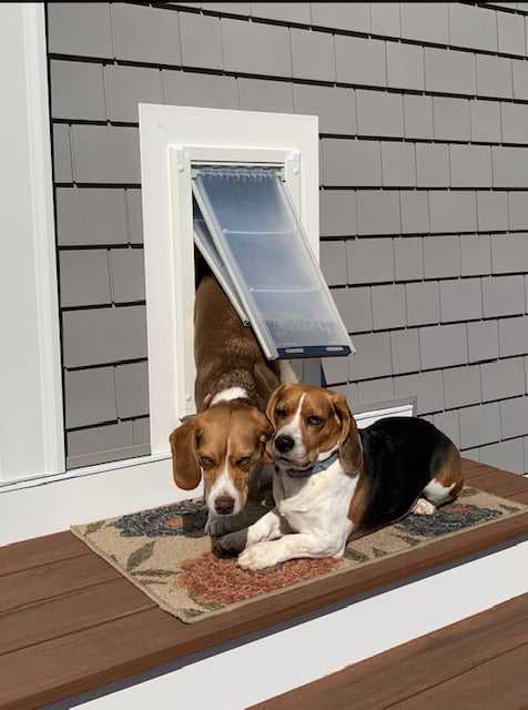 Endura Flap Dog Doors for Walls (Ships from Canada)