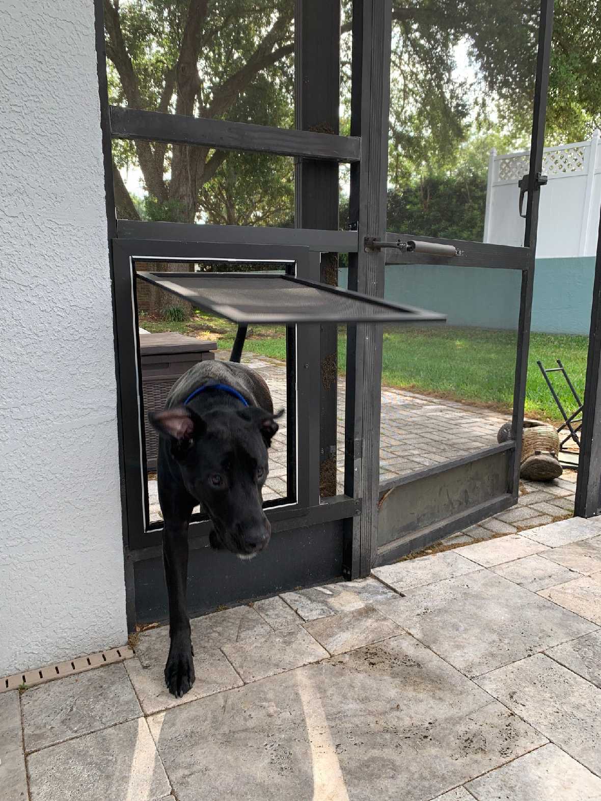 Petsafe Pet Screen Door