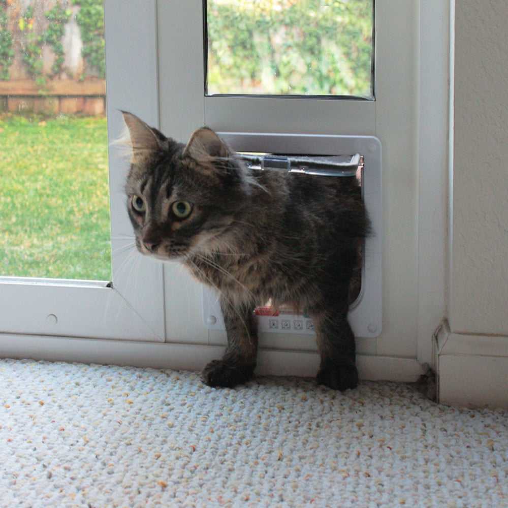 Custom Whiskers & Windows Cat Door For Sliding Glass Door