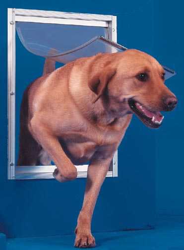 Ideal "Deluxe" Pet Doors For Doors